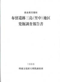 布留遺跡三島(里中)地区発掘調査報告書