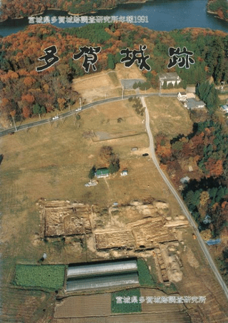 多賀城跡 宮城県多賀城跡調査研究所年報1991