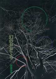 幻のおおでら 百済大寺