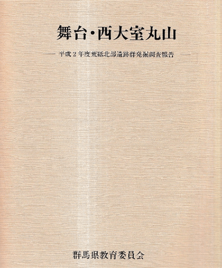 桦缼ݻʿ2ǯٹ׷ȯĴ
