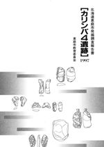 カリンバ4遺跡 1997