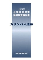 カリンバ4遺跡 1999