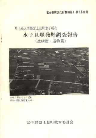 水子貝塚発掘調査報告(遺構編・遺物編)