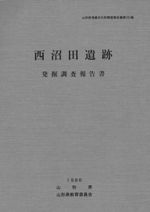 西沼田遺跡