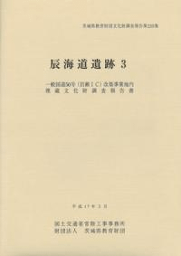辰海道遺跡 3