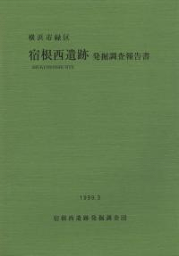 宿根西遺跡発掘調査報告書