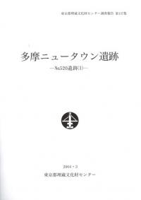 ¿˥塼סNo.520
