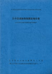 大中田遺跡発掘調査報告書