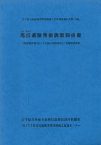 高畑遺跡発掘調査報告書