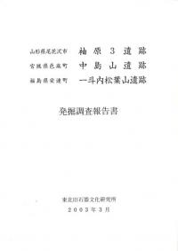 神原3遺跡 中島山遺跡 一斗内松葉山遺跡