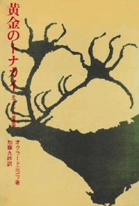 黄金のトナカイ 北アジアの岩壁画