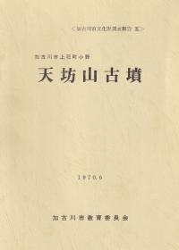 天坊山古墳