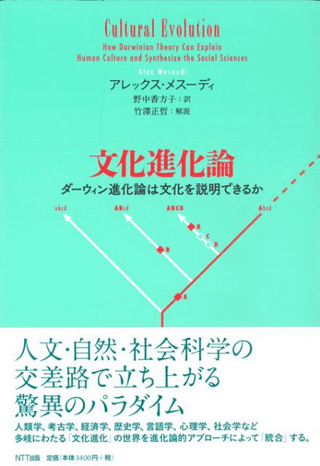 ʸʲ ʲʸǤ뤫