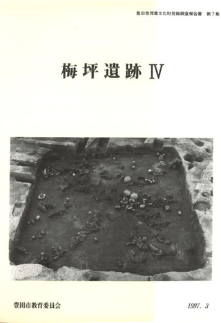 梅坪遺跡4