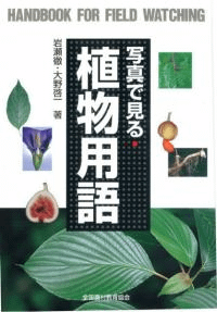 ̿Ǹ뿢ʪѸ