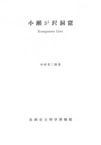 小瀬が沢洞窟