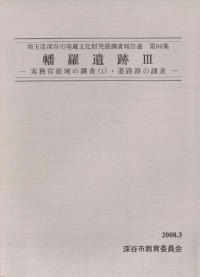 幡羅遺跡3 実務官衙域の調査1・道路跡の調査