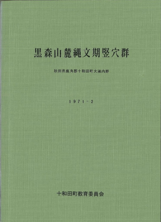 黒森山麓縄文期竪穴群