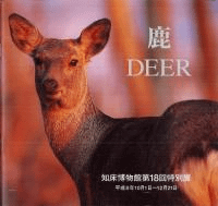 鹿