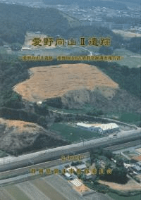 愛野向山2遺跡 愛野向山B古墳群発掘調査報告書