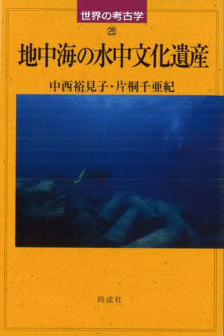 泤οʸ仺 