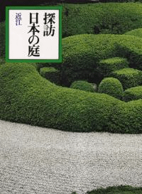 Ṿ