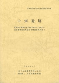中畑遺跡