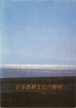 ʸ : Υ륯