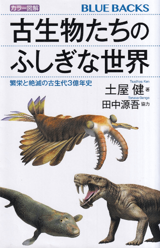 顼޲ ʪΤդ : ˱ɤǤθ3ǯ