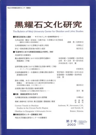 ʸ桡2