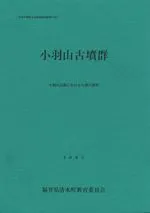 小羽山古墳群 小羽山丘陵における古墳の調査
