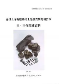 青谷上寺地遺跡出土品調査研究報告9 玉・玉作関連資料
