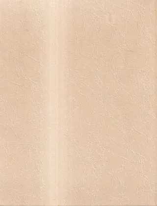ȬĬԻ˸桡5桡