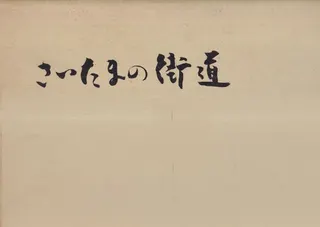 ޤγƻ