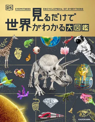 狼޴
