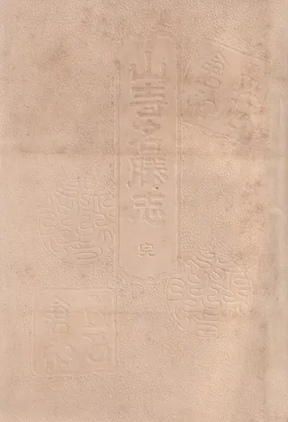 ̾ :   