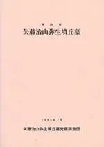 岡山市 矢藤治山弥生墳丘墓