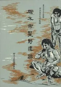 栃木市 星野遺跡