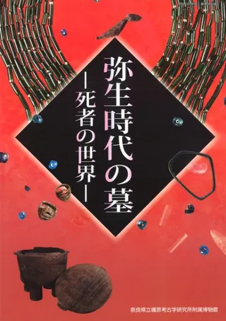 衡Ԥ