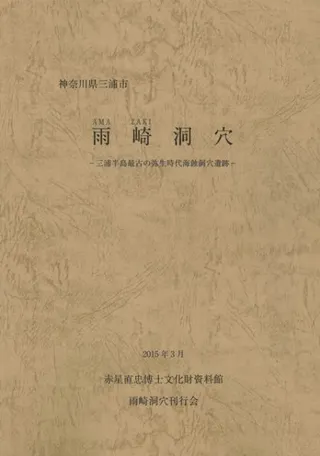 ƶꡡȾǸŤ峤ƶ