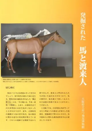 ȯ줿Ϥ