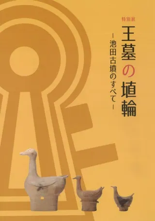 ξءĸʯΤ٤