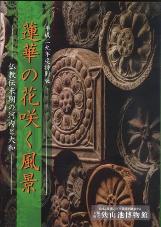ϡڤβֺ餯ʡʩβ