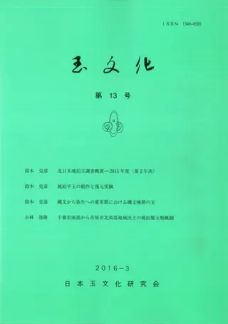 ʸ13