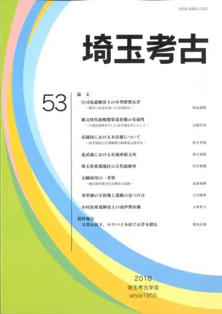 ̹͸š53桡