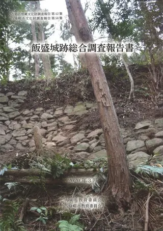 飯盛城跡総合調査報告書