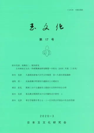 ʸ17