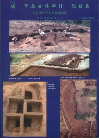 捄 市原古墳群2 総括篇