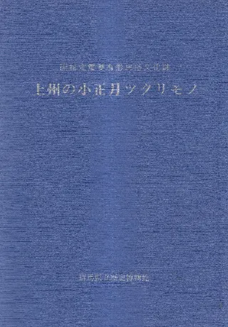 彣ξĥ : ̱ͭ¯ʸ  