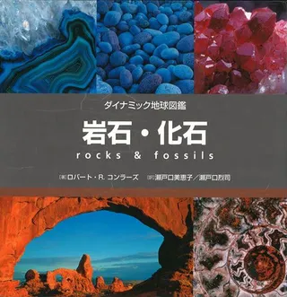 岩石・化石
